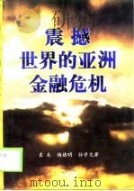 震撼世界的亚洲金融危机（1998 PDF版）