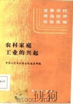发展农村商品经济经验选编  农村家庭工业的兴起（1985 PDF版）
