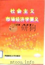 社会主义市场经济学要义（1993 PDF版）