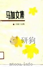 马加文集  2  中篇小说集（1991 PDF版）