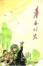 青春似火（1974 PDF版）