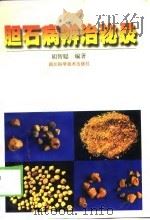 胆石病辨治秘录（1999 PDF版）