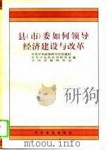 县  市  委如何领导经济建设与改革（1995 PDF版）