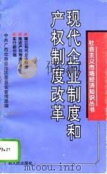 现代企业制度和产权制度改革（1994 PDF版）