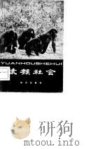 猿猴社会 1982 PDF电子版封面 13214·1001 郑开琪,魏敦庸编