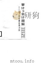审计与会计图解  一目了然的理论和方法（1989 PDF版）