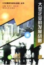 大型企业的发展战略  上（1998 PDF版）