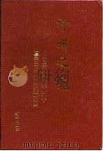 神州之魂 中国党政企事业干部关于社会主义市场经济的论述与实践 1 1993 PDF电子版封面 7501121273 秦学,张一农主编;中国企业文化丛书编辑部编