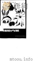 细胞内幕（1982 PDF版）