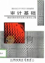 审计基础 1994 PDF电子版封面 753551930X 湖南省教育委员会成人教育处主编