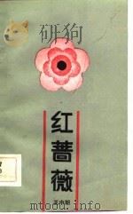 红蔷薇（1984 PDF版）