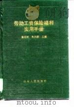劳动工资保险福利实用手册（1991 PDF版）