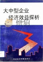 大中型企业经济效益探析（1991 PDF版）