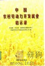 中国农村劳动力开发就业启示录（1997 PDF版）