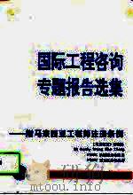 国际工程咨询专题报告选集（1995 PDF版）