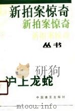 沪上龙蛇（1989 PDF版）