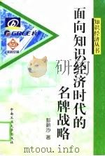 面向知识经济时代的名牌战略（1999 PDF版）