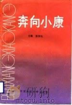奔向小康  湖北省千万元村经济和社会发展调查（1992 PDF版）