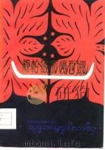 松帕敏和嘎西娜  傣族民间叙事长诗（1959 PDF版）