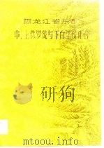 黑龙江省东部中、上侏罗统与下白垩统化石  上（1983 PDF版）
