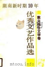 湖南新时期10年优秀文艺作品选  散文报告文学卷（1990 PDF版）