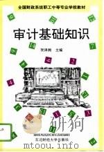 审计基础知识（1988 PDF版）