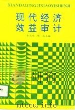 现代经济效益审计（1993 PDF版）