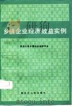 乡镇企业经济效益实例（1986 PDF版）