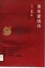 青年爱情诗（1990 PDF版）