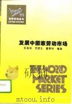 百卷本世界市场全书  发展中国家劳动市场（ PDF版）