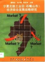 宁夏北部工业区  石嘴山市  经济综合发展战略研究（1996 PDF版）