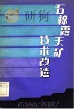 石棉露天矿技术改造 1982 PDF电子版封面 15040·4339 (苏)切尔涅高夫(Ю.А.Чернегов)著;刘昌寅,田桢