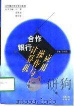 合作银行计算机操作与应用（1997 PDF版）