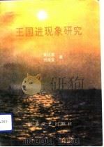 王国进现象研究（1993 PDF版）