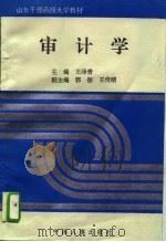 审计学（1995 PDF版）