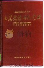 壮丽史诗  世纪丰碑（1996 PDF版）