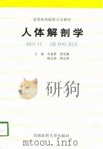 人体解剖学 1996 PDF电子版封面 7810481002 吴爱群等主编