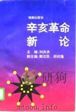 辛亥革命新论（1996 PDF版）