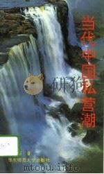 当代中国私营潮（1994 PDF版）