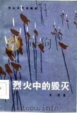 烈火中的毁灭（1986 PDF版）