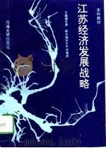 江苏经济发展战略（1995 PDF版）