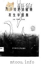 海洋经济动植物发生学图集 1990 PDF电子版封面 7810260030 缪国荣主编;宫庆礼等编