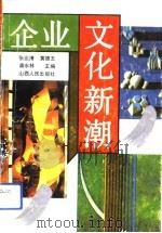 企业文化新潮（1993 PDF版）