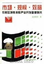市场·规模·效益  农村区域性支柱产业开发管理研究（1994 PDF版）
