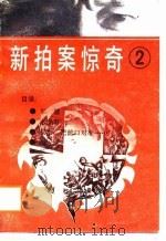 新拍案惊奇（二）（1988年05月第1版 PDF版）