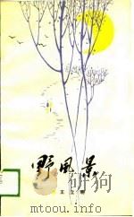 野风景（1989 PDF版）