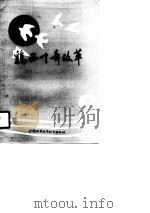 鸡西十年改革（1989 PDF版）