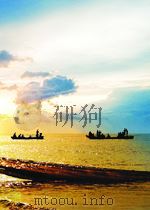 腐蚀与防护全书  电化学保护（1988 PDF版）