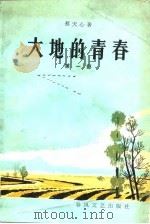 大地的青春 第1部 1980 PDF电子版封面 蔡天心著;王秋插图