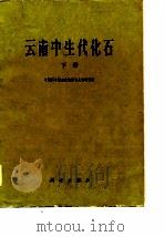 云南中生代化石  下（1977 PDF版）